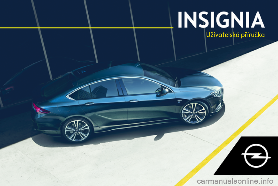 OPEL INSIGNIA BREAK 2019  Uživatelská příručka (in Czech) Uživatelská příručka 