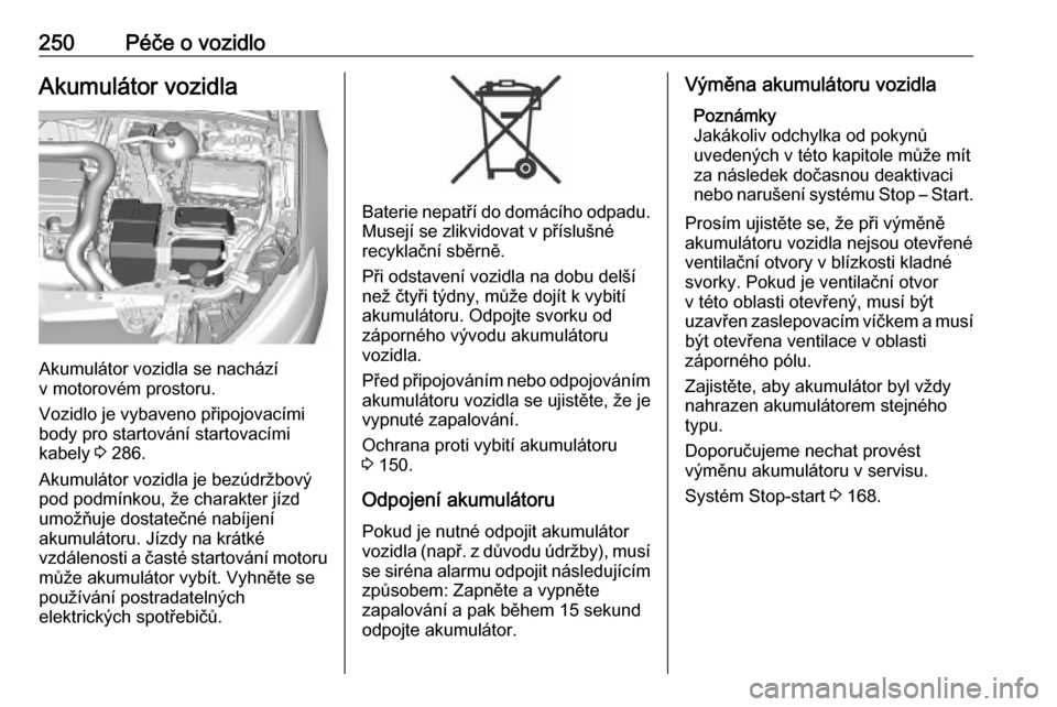 OPEL INSIGNIA BREAK 2019.5  Uživatelská příručka (in Czech) 250Péče o vozidloAkumulátor vozidla
Akumulátor vozidla se nachází
v motorovém prostoru.
Vozidlo je vybaveno připojovacími
body pro startování startovacími
kabely  3 286.
Akumulátor vozidl