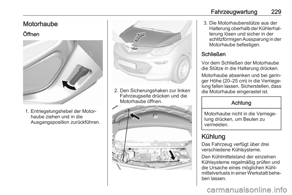 OPEL AMPERA E 2018 Betriebsanleitung (in German) Fahrzeugwartung229MotorhaubeÖffnen
1. Entriegelungshebel der Motor‐ haube ziehen und in die
Ausgangsposition zurückführen.
2. Den Sicherungshaken zur linken Fahrzeugseite drücken und die
Motorha OPEL AMPERA E 2018 Betriebsanleitung (in German) Fahrzeugwartung229MotorhaubeÖffnen
1. Entriegelungshebel der Motor‐ haube ziehen und in die
Ausgangsposition zurückführen.
2. Den Sicherungshaken zur linken Fahrzeugseite drücken und die
Motorha