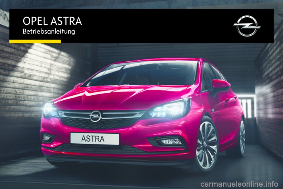 OPEL ASTRA K 2016  Betriebsanleitung (in German) 