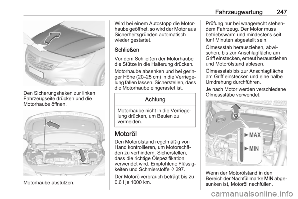 OPEL ASTRA K 2017.5 Betriebsanleitung (in German) Fahrzeugwartung247
Den Sicherungshaken zur linken
Fahrzeugseite drücken und die
Motorhaube öffnen.
Motorhaube abstützen.
Wird bei einem Autostopp die Motor‐
haube geöffnet, so wird der Motor aus OPEL ASTRA K 2017.5 Betriebsanleitung (in German) Fahrzeugwartung247
Den Sicherungshaken zur linken
Fahrzeugseite drücken und die
Motorhaube öffnen.
Motorhaube abstützen.
Wird bei einem Autostopp die Motor‐
haube geöffnet, so wird der Motor aus
