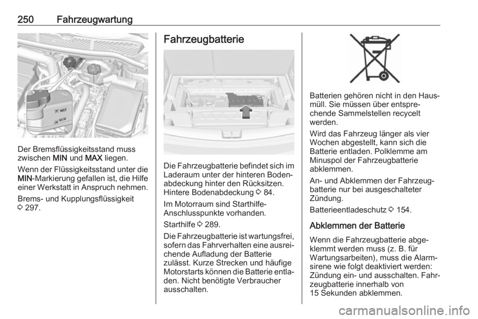 OPEL ASTRA K 2017.5  Betriebsanleitung (in German) 250Fahrzeugwartung
Der Bremsflüssigkeitsstand muss
zwischen  MIN und  MAX liegen.
Wenn der Flüssigkeitsstand unter die MIN -Markierung gefallen ist, die Hilfe
einer Werkstatt in Anspruch nehmen.
Bre