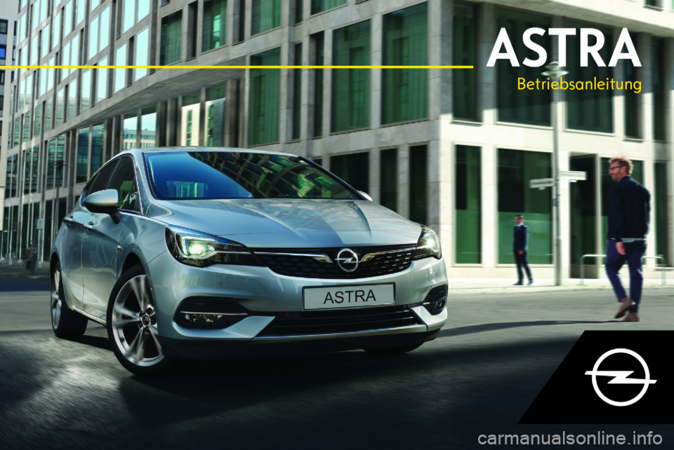 OPEL ASTRA K 2020  Betriebsanleitung (in German) Betriebsanleitung 