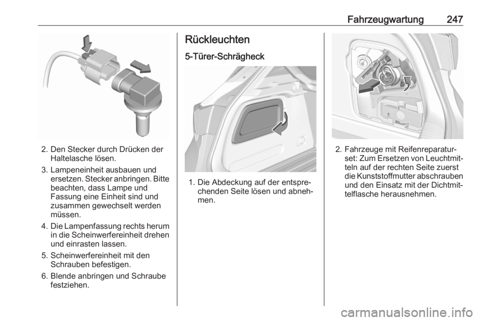 OPEL ASTRA K 2020  Betriebsanleitung (in German) Fahrzeugwartung247
2. Den Stecker durch Drücken derHaltelasche lösen.
3. Lampeneinheit ausbauen und ersetzen. Stecker anbringen. Bittebeachten, dass Lampe und
Fassung eine Einheit sind und
zusammen 