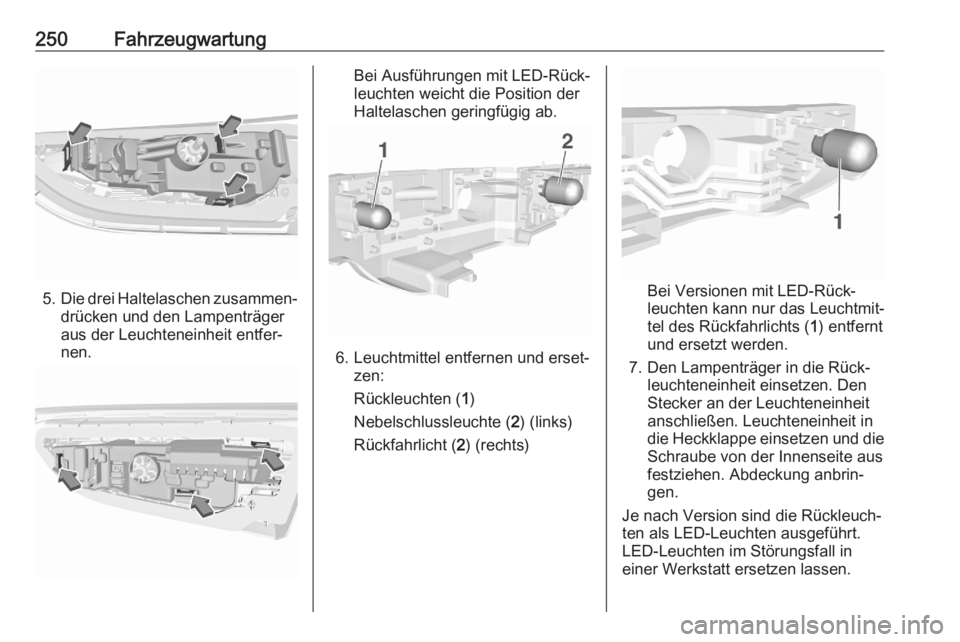 OPEL ASTRA K 2020  Betriebsanleitung (in German) 250Fahrzeugwartung
5.Die drei Haltelaschen zusammen‐
drücken und den Lampenträger
aus der Leuchteneinheit entfer‐
nen.
Bei Ausführungen mit LED-Rück‐
leuchten weicht die Position der
Haltela