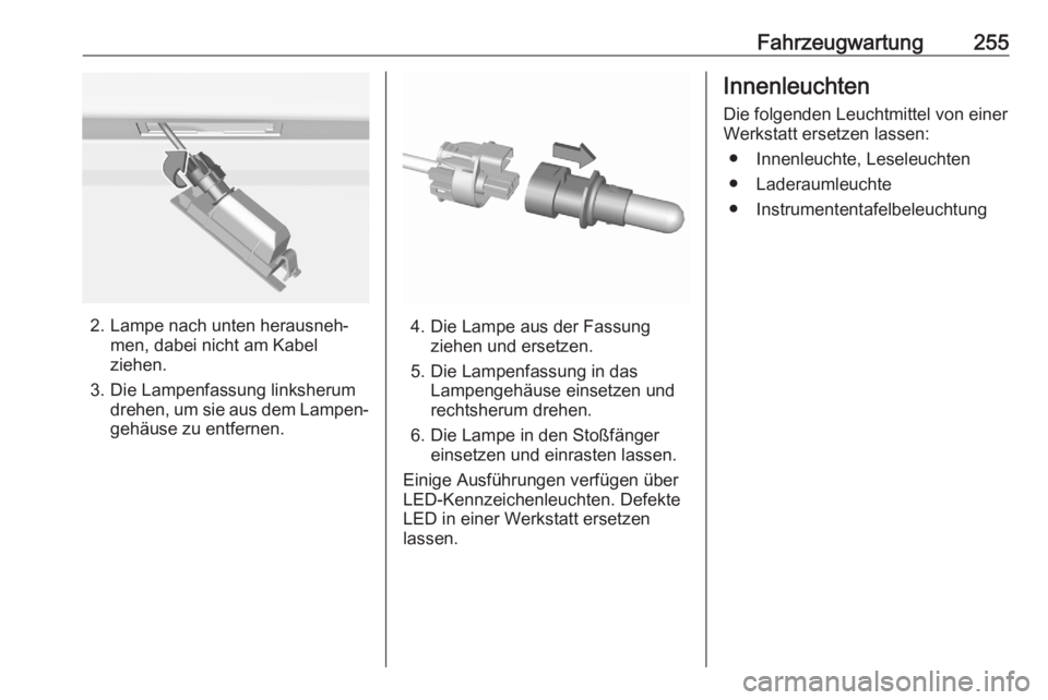 OPEL ASTRA K 2020  Betriebsanleitung (in German) Fahrzeugwartung255
2. Lampe nach unten herausneh‐men, dabei nicht am Kabel
ziehen.
3. Die Lampenfassung linksherum drehen, um sie aus dem Lampen‐
gehäuse zu entfernen.4. Die Lampe aus der Fassung