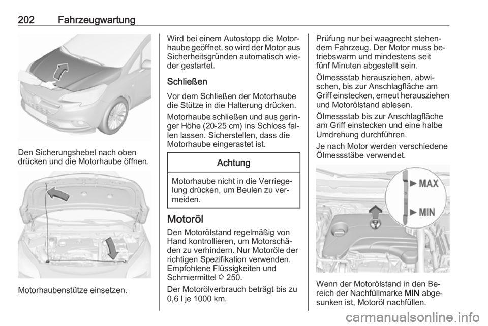 OPEL CORSA 2016.5  Betriebsanleitung (in German) 202Fahrzeugwartung
Den Sicherungshebel nach oben
drücken und die Motorhaube öffnen.
Motorhaubenstütze einsetzen.
Wird bei einem Autostopp die Motor‐
haube geöffnet, so wird der Motor aus
Sicherh