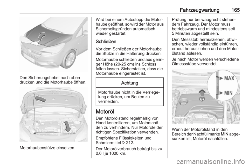 OPEL CORSA E 2019  Betriebsanleitung (in German) Fahrzeugwartung165
Den Sicherungshebel nach oben
drücken und die Motorhaube öffnen.
Motorhaubenstütze einsetzen.
Wird bei einem Autostopp die Motor‐
haube geöffnet, so wird der Motor aus
Sicherh