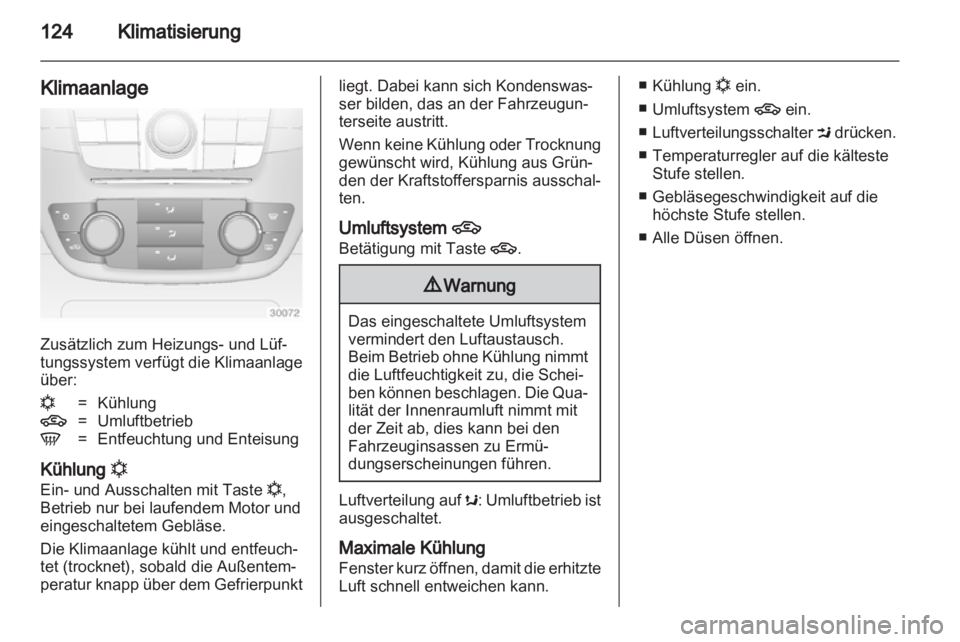 OPEL INSIGNIA 2010  Betriebsanleitung (in German) 