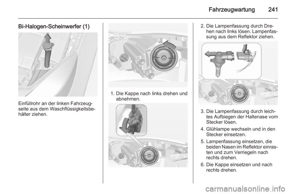 OPEL INSIGNIA 2014.5  Betriebsanleitung (in German) Fahrzeugwartung241
Bi-Halogen-Scheinwerfer (1)
Einfüllrohr an der linken Fahrzeug‐
seite aus dem Waschflüssigkeitsbe‐
hälter ziehen.
1. Die Kappe nach links drehen und abnehmen.
2. Die Lampenfa