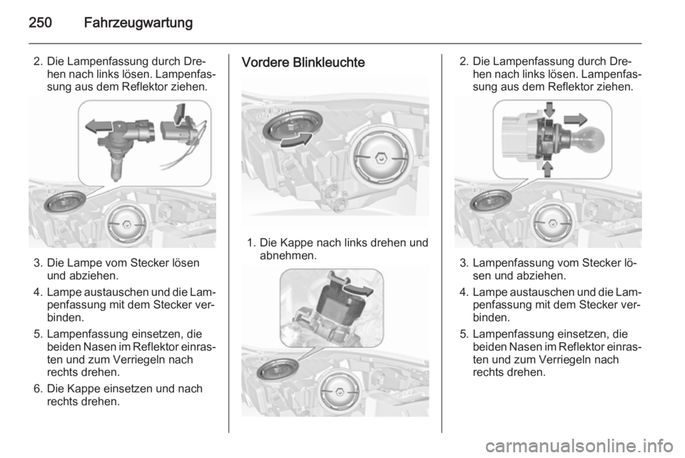 OPEL INSIGNIA 2015.5  Betriebsanleitung (in German) 250Fahrzeugwartung
2. Die Lampenfassung durch Dre‐hen nach links lösen. Lampenfas‐sung aus dem Reflektor ziehen.
3. Die Lampe vom Stecker lösen und abziehen.
4. Lampe austauschen und die Lam‐

