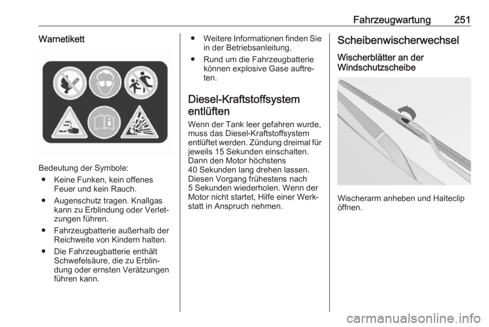 OPEL INSIGNIA 2016  Betriebsanleitung (in German) Fahrzeugwartung251Warnetikett
Bedeutung der Symbole:● Keine Funken, kein offenes Feuer und kein Rauch.
● Augenschutz tragen. Knallgas kann zu Erblindung oder Verlet‐
zungen führen.
● Fahrzeug