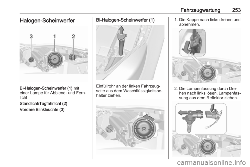 OPEL INSIGNIA 2016  Betriebsanleitung (in German) Fahrzeugwartung253Halogen-Scheinwerfer
Bi-Halogen-Scheinwerfer (1) mit
einer Lampe für Abblend- und Fern‐
licht
Standlicht/Tagfahrlicht (2)
Vordere Blinkleuchte (3)
Bi-Halogen-Scheinwerfer (1)
Einf