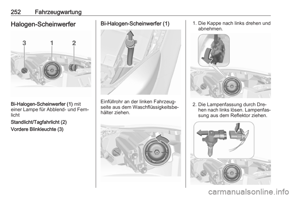 OPEL INSIGNIA 2016.5 Betriebsanleitung (in German) 252FahrzeugwartungHalogen-Scheinwerfer
Bi-Halogen-Scheinwerfer (1) mit
einer Lampe für Abblend- und Fern‐
licht
Standlicht/Tagfahrlicht (2)
Vordere Blinkleuchte (3)
Bi-Halogen-Scheinwerfer (1)
Einf OPEL INSIGNIA 2016.5 Betriebsanleitung (in German) 252FahrzeugwartungHalogen-Scheinwerfer
Bi-Halogen-Scheinwerfer (1) mit
einer Lampe für Abblend- und Fern‐
licht
Standlicht/Tagfahrlicht (2)
Vordere Blinkleuchte (3)
Bi-Halogen-Scheinwerfer (1)
Einf