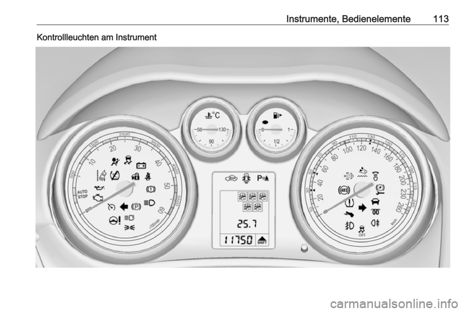 OPEL ZAFIRA C 2016  Betriebsanleitung (in German) Instrumente, Bedienelemente113Kontrollleuchten am Instrument 
