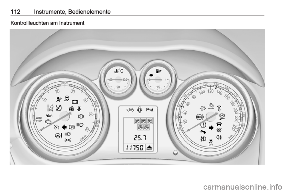 OPEL ZAFIRA C 2016.5  Betriebsanleitung (in German) 112Instrumente, BedienelementeKontrollleuchten am Instrument 