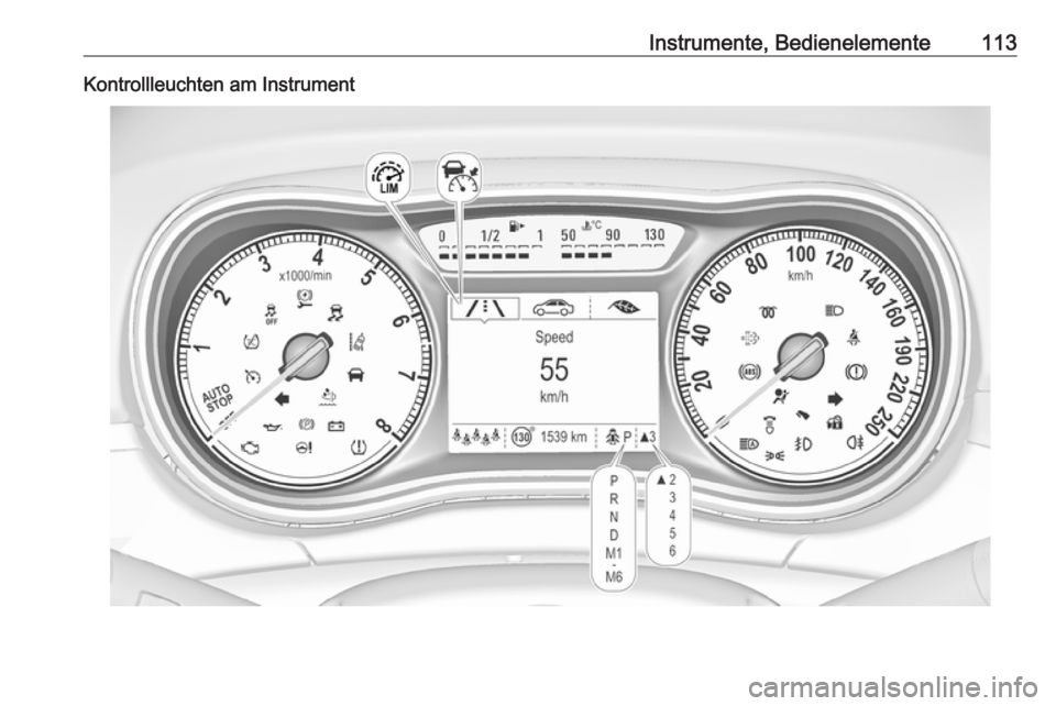 OPEL ZAFIRA C 2017.25  Betriebsanleitung (in German) Instrumente, Bedienelemente113Kontrollleuchten am Instrument 