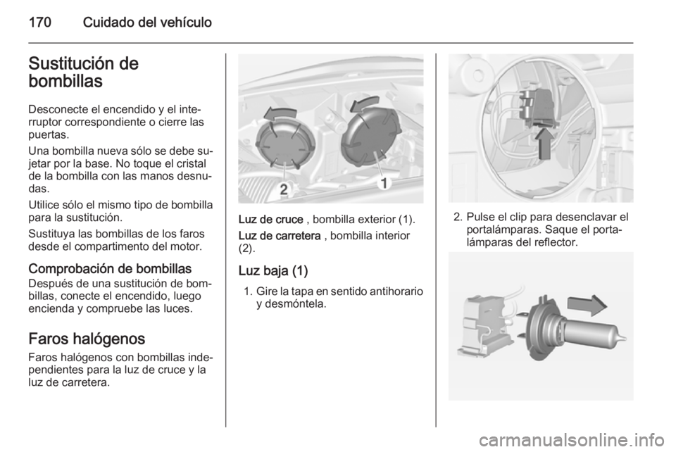 OPEL ADAM 2014.5  Manual de Instrucciones (in Spanish) 170Cuidado del vehículoSustitución de
bombillas
Desconecte el encendido y el inte‐
rruptor correspondiente o cierre las
puertas.
Una bombilla nueva sólo se debe su‐ jetar por la base. No toque 