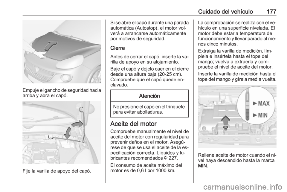 OPEL ADAM 2016 Manual de Instrucciones (in Spanish) Cuidado del vehículo177
Empuje el gancho de seguridad haciaarriba y abra el capó.
Fije la varilla de apoyo del capó.
Si se abre el capó durante una parada
automática (Autostop), el motor vol‐
v OPEL ADAM 2016 Manual de Instrucciones (in Spanish) Cuidado del vehículo177
Empuje el gancho de seguridad haciaarriba y abra el capó.
Fije la varilla de apoyo del capó.
Si se abre el capó durante una parada
automática (Autostop), el motor vol‐
v
