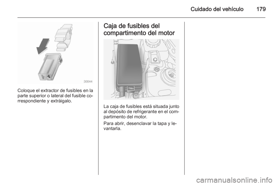 OPEL ANTARA 2014.5 Manual de Instrucciones (in Spanish) Cuidado del vehículo179
Coloque el extractor de fusibles en la
parte superior o lateral del fusible co‐
rrespondiente y extráigalo.
Caja de fusibles del
compartimento del motor
La caja de fusibles OPEL ANTARA 2014.5 Manual de Instrucciones (in Spanish) Cuidado del vehículo179
Coloque el extractor de fusibles en la
parte superior o lateral del fusible co‐
rrespondiente y extráigalo.
Caja de fusibles del
compartimento del motor
La caja de fusibles