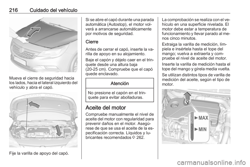 OPEL ASTRA K 2016  Manual de Instrucciones (in Spanish) 216Cuidado del vehículo
Mueva el cierre de seguridad hacia
los lados, hacia el lateral izquierdo del
vehículo y abra el capó.
Fije la varilla de apoyo del capó.
Si se abre el capó durante una par