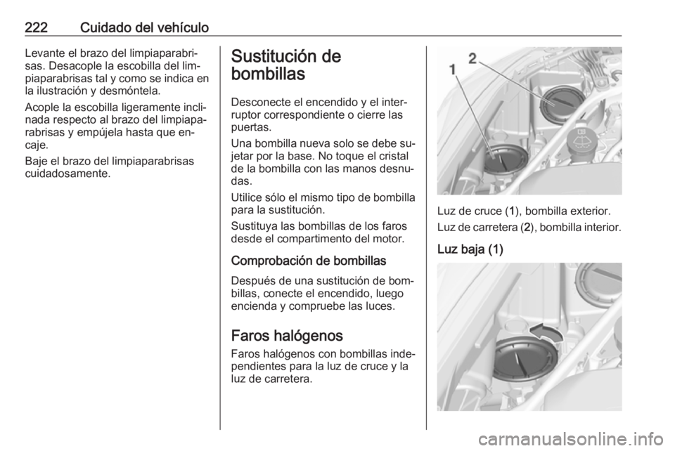 OPEL ASTRA K 2016  Manual de Instrucciones (in Spanish) 222Cuidado del vehículoLevante el brazo del limpiaparabri‐
sas. Desacople la escobilla del lim‐
piaparabrisas tal y como se indica en
la ilustración y desmóntela.
Acople la escobilla ligerament