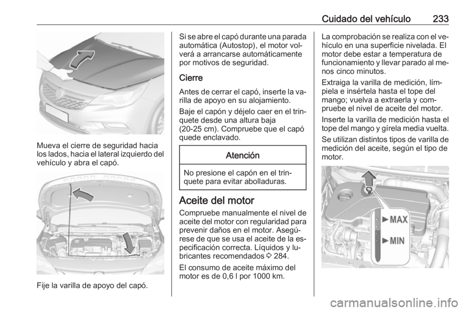 OPEL ASTRA K 2016.5 Manual de Instrucciones (in Spanish) Cuidado del vehículo233
Mueva el cierre de seguridad hacia
los lados, hacia el lateral izquierdo del
vehículo y abra el capó.
Fije la varilla de apoyo del capó.
Si se abre el capó durante una par OPEL ASTRA K 2016.5 Manual de Instrucciones (in Spanish) Cuidado del vehículo233
Mueva el cierre de seguridad hacia
los lados, hacia el lateral izquierdo del
vehículo y abra el capó.
Fije la varilla de apoyo del capó.
Si se abre el capó durante una par