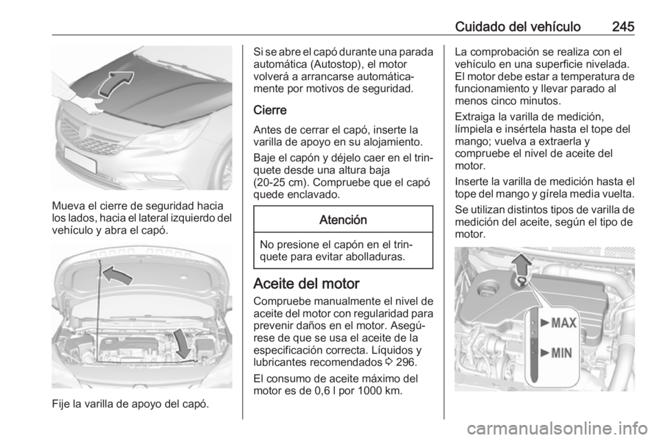 OPEL ASTRA K 2017 Manual de Instrucciones (in Spanish) Cuidado del vehículo245
Mueva el cierre de seguridad hacia
los lados, hacia el lateral izquierdo del
vehículo y abra el capó.
Fije la varilla de apoyo del capó.
Si se abre el capó durante una par OPEL ASTRA K 2017 Manual de Instrucciones (in Spanish) Cuidado del vehículo245
Mueva el cierre de seguridad hacia
los lados, hacia el lateral izquierdo del
vehículo y abra el capó.
Fije la varilla de apoyo del capó.
Si se abre el capó durante una par