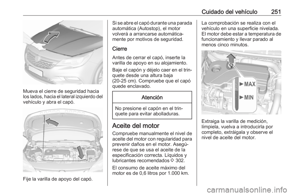 OPEL ASTRA K 2018 Manual de Instrucciones (in Spanish) Cuidado del vehículo251
Mueva el cierre de seguridad hacia
los lados, hacia el lateral izquierdo del
vehículo y abra el capó.
Fije la varilla de apoyo del capó.
Si se abre el capó durante una par OPEL ASTRA K 2018 Manual de Instrucciones (in Spanish) Cuidado del vehículo251
Mueva el cierre de seguridad hacia
los lados, hacia el lateral izquierdo del
vehículo y abra el capó.
Fije la varilla de apoyo del capó.
Si se abre el capó durante una par