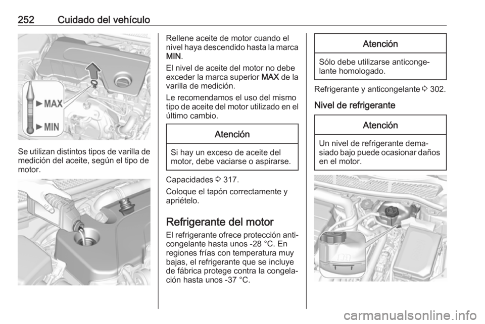 OPEL ASTRA K 2018 Manual de Instrucciones (in Spanish) 252Cuidado del vehículo
Se utilizan distintos tipos de varilla de
medición del aceite, según el tipo de
motor.
Rellene aceite de motor cuando el
nivel haya descendido hasta la marca MIN .
El nivel OPEL ASTRA K 2018 Manual de Instrucciones (in Spanish) 252Cuidado del vehículo
Se utilizan distintos tipos de varilla de
medición del aceite, según el tipo de
motor.
Rellene aceite de motor cuando el
nivel haya descendido hasta la marca MIN .
El nivel