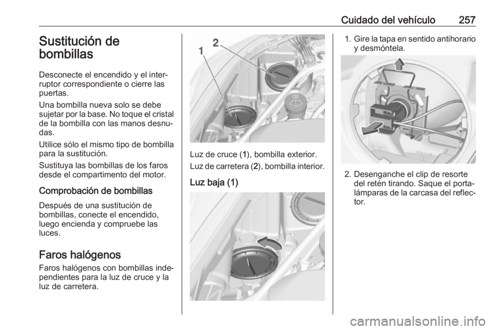 OPEL ASTRA K 2018 Manual de Instrucciones (in Spanish) Cuidado del vehículo257Sustitución de
bombillas
Desconecte el encendido y el inter‐
ruptor correspondiente o cierre las
puertas.
Una bombilla nueva solo se debe
sujetar por la base. No toque el cr OPEL ASTRA K 2018 Manual de Instrucciones (in Spanish) Cuidado del vehículo257Sustitución de
bombillas
Desconecte el encendido y el inter‐
ruptor correspondiente o cierre las
puertas.
Una bombilla nueva solo se debe
sujetar por la base. No toque el cr