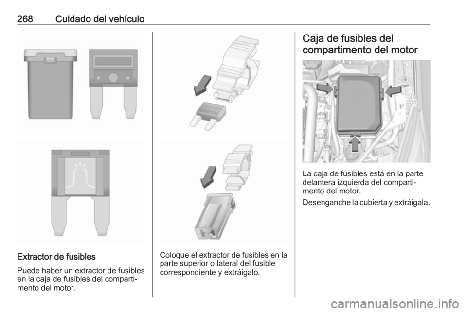 OPEL ASTRA K 2018 Manual de Instrucciones (in Spanish) 268Cuidado del vehículo
Extractor de fusibles
Puede haber un extractor de fusibles
en la caja de fusibles del comparti‐
mento del motor.Coloque el extractor de fusibles en la parte superior o later OPEL ASTRA K 2018 Manual de Instrucciones (in Spanish) 268Cuidado del vehículo
Extractor de fusibles
Puede haber un extractor de fusibles
en la caja de fusibles del comparti‐
mento del motor.Coloque el extractor de fusibles en la parte superior o later