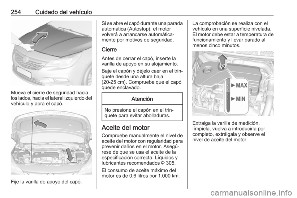 OPEL ASTRA K 2018.5 Manual de Instrucciones (in Spanish) 254Cuidado del vehículo
Mueva el cierre de seguridad hacia
los lados, hacia el lateral izquierdo del
vehículo y abra el capó.
Fije la varilla de apoyo del capó.
Si se abre el capó durante una par OPEL ASTRA K 2018.5 Manual de Instrucciones (in Spanish) 254Cuidado del vehículo
Mueva el cierre de seguridad hacia
los lados, hacia el lateral izquierdo del
vehículo y abra el capó.
Fije la varilla de apoyo del capó.
Si se abre el capó durante una par