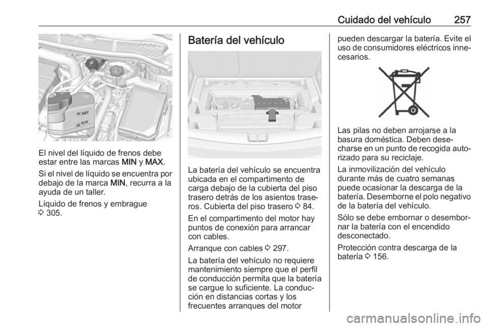 OPEL ASTRA K 2018.5 Manual de Instrucciones (in Spanish) Cuidado del vehículo257
El nivel del líquido de frenos debe
estar entre las marcas MIN y MAX .
Si el nivel de líquido se encuentra por
debajo de la marca MIN, recurra a la
ayuda de un taller.
Lí OPEL ASTRA K 2018.5 Manual de Instrucciones (in Spanish) Cuidado del vehículo257
El nivel del líquido de frenos debe
estar entre las marcas MIN y MAX .
Si el nivel de líquido se encuentra por
debajo de la marca MIN, recurra a la
ayuda de un taller.
Lí