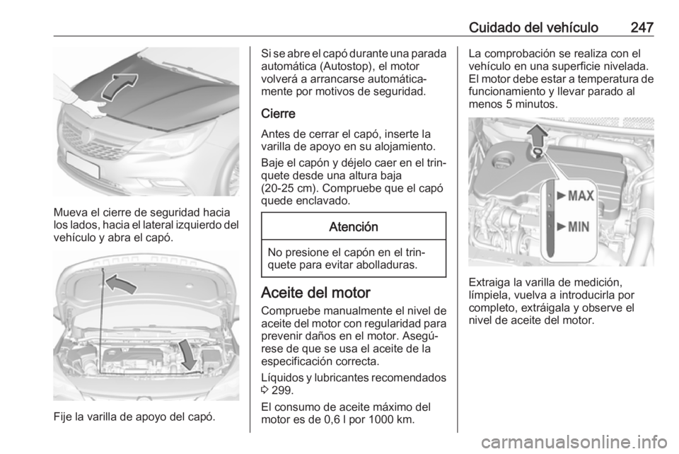 OPEL ASTRA K 2019.5 Manual de Instrucciones (in Spanish) Cuidado del vehículo247
Mueva el cierre de seguridad hacia
los lados, hacia el lateral izquierdo del
vehículo y abra el capó.
Fije la varilla de apoyo del capó.
Si se abre el capó durante una par OPEL ASTRA K 2019.5 Manual de Instrucciones (in Spanish) Cuidado del vehículo247
Mueva el cierre de seguridad hacia
los lados, hacia el lateral izquierdo del
vehículo y abra el capó.
Fije la varilla de apoyo del capó.
Si se abre el capó durante una par