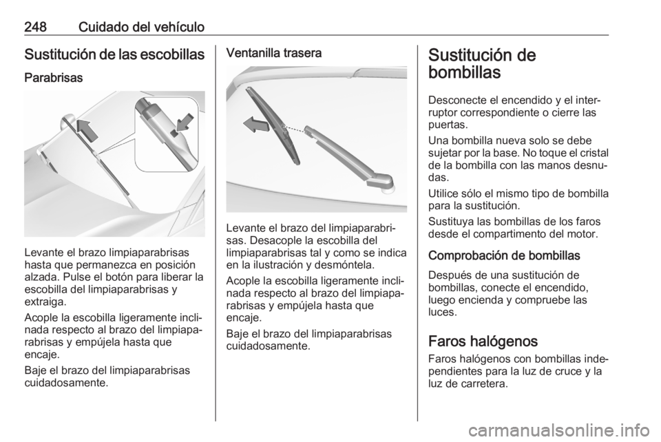 OPEL ASTRA K 2020 Manual de Instrucciones (in Spanish) 248Cuidado del vehículoSustitución de las escobillasParabrisas
Levante el brazo limpiaparabrisas
hasta que permanezca en posición alzada. Pulse el botón para liberar laescobilla del limpiaparabris OPEL ASTRA K 2020 Manual de Instrucciones (in Spanish) 248Cuidado del vehículoSustitución de las escobillasParabrisas
Levante el brazo limpiaparabrisas
hasta que permanezca en posición alzada. Pulse el botón para liberar laescobilla del limpiaparabris