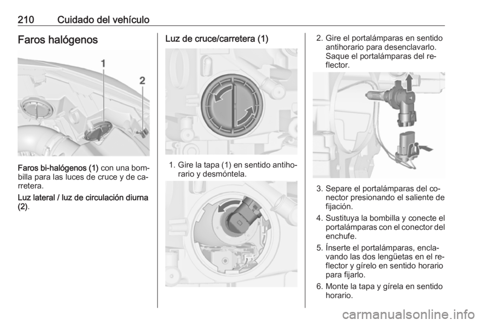 OPEL CASCADA 2016  Manual de Instrucciones (in Spanish) 210Cuidado del vehículoFaros halógenos
Faros bi-halógenos (1) con una bom‐
billa para las luces de cruce y de ca‐
rretera.
Luz lateral / luz de circulación diurna
(2) .
Luz de cruce/carretera 