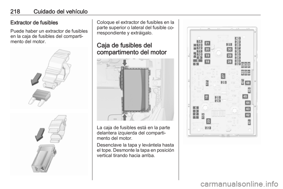 OPEL CASCADA 2016  Manual de Instrucciones (in Spanish) 218Cuidado del vehículoExtractor de fusiblesPuede haber un extractor de fusibles
en la caja de fusibles del comparti‐
mento del motor.Coloque el extractor de fusibles en la
parte superior o lateral