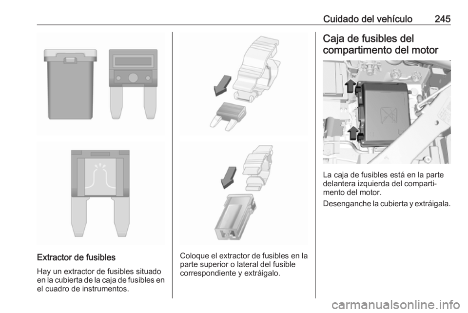 OPEL COMBO E 2019 Manual de Instrucciones (in Spanish) Cuidado del vehículo245
Extractor de fusibles
Hay un extractor de fusibles situado
en la cubierta de la caja de fusibles en el cuadro de instrumentos.Coloque el extractor de fusibles en la
parte supe OPEL COMBO E 2019 Manual de Instrucciones (in Spanish) Cuidado del vehículo245
Extractor de fusibles
Hay un extractor de fusibles situado
en la cubierta de la caja de fusibles en el cuadro de instrumentos.Coloque el extractor de fusibles en la
parte supe
