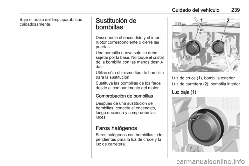 OPEL COMBO E 2019.75  Manual de Instrucciones (in Spanish) Cuidado del vehículo239Baje el brazo del limpiaparabrisas
cuidadosamente.Sustitución de
bombillas
Desconecte el encendido y el inter‐
ruptor correspondiente o cierre las
puertas.
Una bombilla nuev