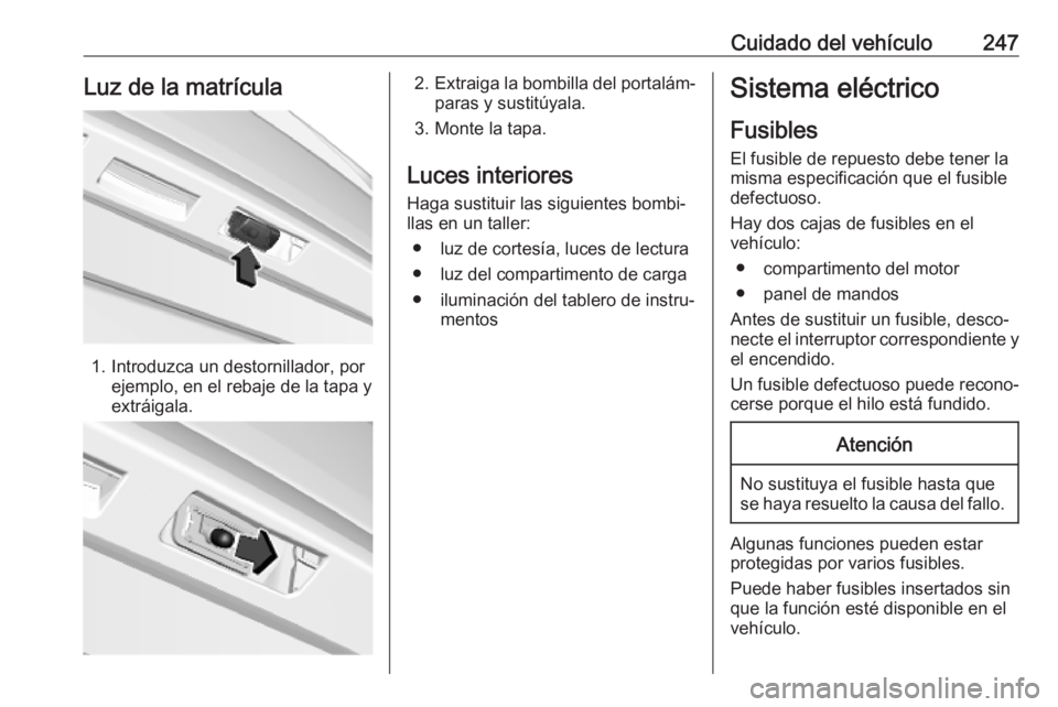 OPEL COMBO E 2019.75  Manual de Instrucciones (in Spanish) Cuidado del vehículo247Luz de la matrícula
1. Introduzca un destornillador, porejemplo, en el rebaje de la tapa y
extráigala.
2. Extraiga la bombilla del portalám‐
paras y sustitúyala.
3. Monte