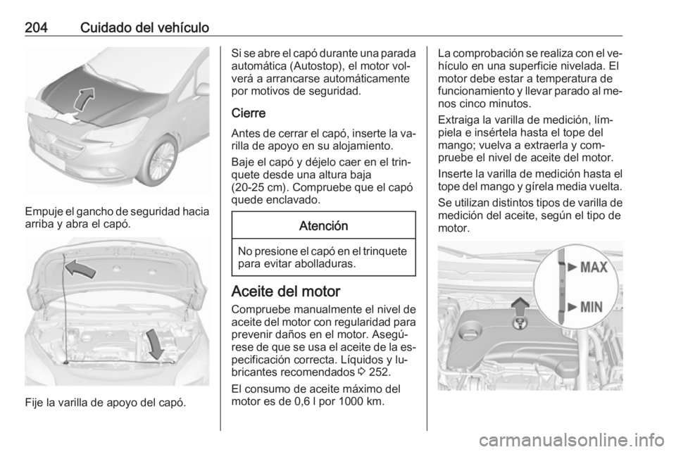OPEL CORSA 2016  Manual de Instrucciones (in Spanish) 204Cuidado del vehículo
Empuje el gancho de seguridad haciaarriba y abra el capó.
Fije la varilla de apoyo del capó.
Si se abre el capó durante una parada
automática (Autostop), el motor vol‐
v