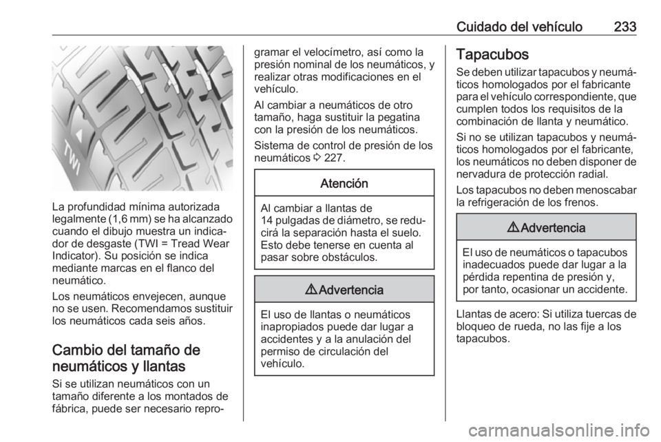 OPEL CORSA E 2018 Manual de Instrucciones (in Spanish) Cuidado del vehículo233
La profundidad mínima autorizada
legalmente (1,6 mm) se ha alcanzado
cuando el dibujo muestra un indica‐
dor de desgaste (TWI = Tread Wear
Indicator). Su posición se indic OPEL CORSA E 2018 Manual de Instrucciones (in Spanish) Cuidado del vehículo233
La profundidad mínima autorizada
legalmente (1,6 mm) se ha alcanzado
cuando el dibujo muestra un indica‐
dor de desgaste (TWI = Tread Wear
Indicator). Su posición se indic