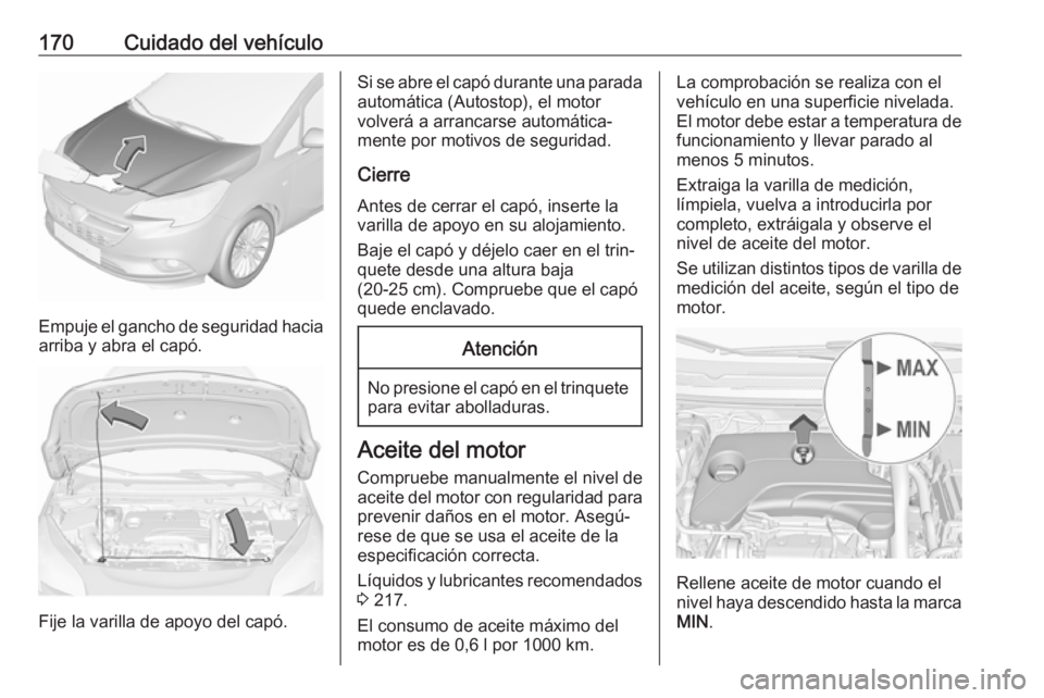 OPEL CORSA E 2019 Manual de Instrucciones (in Spanish) 170Cuidado del vehículo
Empuje el gancho de seguridad haciaarriba y abra el capó.
Fije la varilla de apoyo del capó.
Si se abre el capó durante una parada
automática (Autostop), el motor
volverá OPEL CORSA E 2019 Manual de Instrucciones (in Spanish) 170Cuidado del vehículo
Empuje el gancho de seguridad haciaarriba y abra el capó.
Fije la varilla de apoyo del capó.
Si se abre el capó durante una parada
automática (Autostop), el motor
volverá