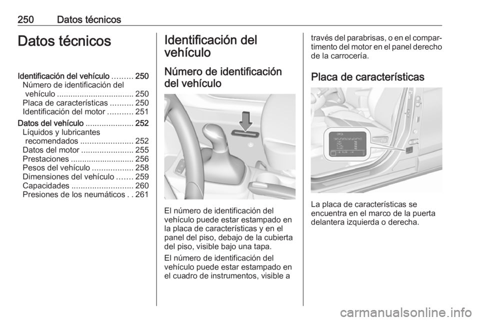 OPEL CROSSLAND X 2019  Manual de Instrucciones (in Spanish) 250Datos técnicosDatos técnicosIdentificación del vehículo.........250
Número de identificación del vehículo .................................. 250
Placa de características ..........250
Ident