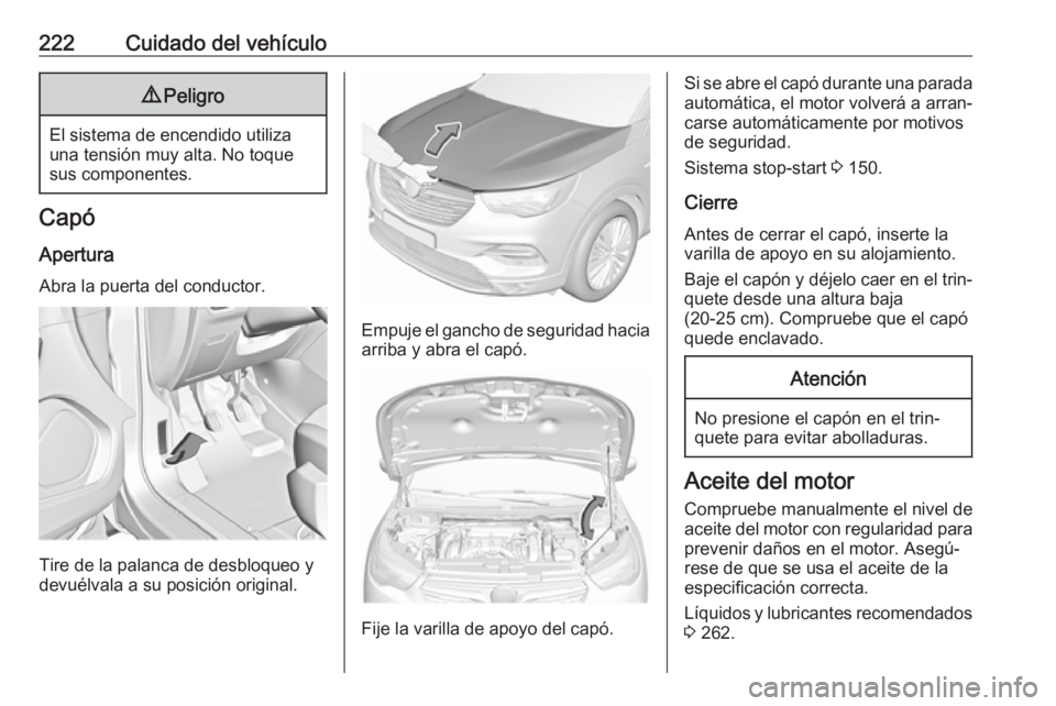 OPEL GRANDLAND X 2018.5 Manual de Instrucciones (in Spanish) 222Cuidado del vehículo9Peligro
El sistema de encendido utiliza
una tensión muy alta. No toque
sus componentes.
Capó
Apertura
Abra la puerta del conductor.
Tire de la palanca de desbloqueo y
devué OPEL GRANDLAND X 2018.5 Manual de Instrucciones (in Spanish) 222Cuidado del vehículo9Peligro
El sistema de encendido utiliza
una tensión muy alta. No toque
sus componentes.
Capó
Apertura
Abra la puerta del conductor.
Tire de la palanca de desbloqueo y
devué
