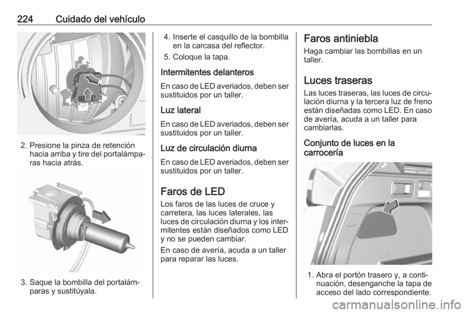 OPEL GRANDLAND X 2019.75  Manual de Instrucciones (in Spanish) 224Cuidado del vehículo
2. Presione la pinza de retenciónhacia arriba y tire del portalámpa‐ras hacia atrás.
3. Saque la bombilla del portalám‐ paras y sustitúyala.
4. Inserte el casquillo d