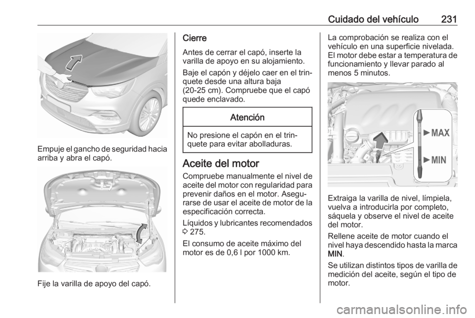 OPEL GRANDLAND X 2020 Manual de Instrucciones (in Spanish) Cuidado del vehículo231
Empuje el gancho de seguridad haciaarriba y abra el capó.
Fije la varilla de apoyo del capó.
Cierre
Antes de cerrar el capó, inserte la
varilla de apoyo en su alojamiento.
OPEL GRANDLAND X 2020 Manual de Instrucciones (in Spanish) Cuidado del vehículo231
Empuje el gancho de seguridad haciaarriba y abra el capó.
Fije la varilla de apoyo del capó.
Cierre
Antes de cerrar el capó, inserte la
varilla de apoyo en su alojamiento.