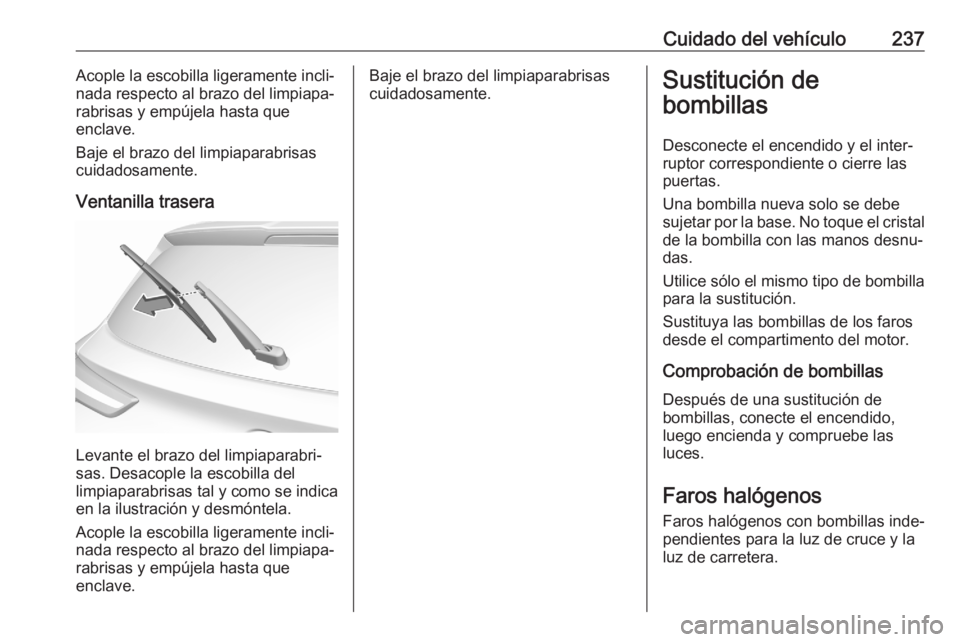 OPEL GRANDLAND X 2020 Manual de Instrucciones (in Spanish) Cuidado del vehículo237Acople la escobilla ligeramente incli‐
nada respecto al brazo del limpiapa‐
rabrisas y empújela hasta que
enclave.
Baje el brazo del limpiaparabrisas
cuidadosamente.
Venta OPEL GRANDLAND X 2020 Manual de Instrucciones (in Spanish) Cuidado del vehículo237Acople la escobilla ligeramente incli‐
nada respecto al brazo del limpiapa‐
rabrisas y empújela hasta que
enclave.
Baje el brazo del limpiaparabrisas
cuidadosamente.
Venta