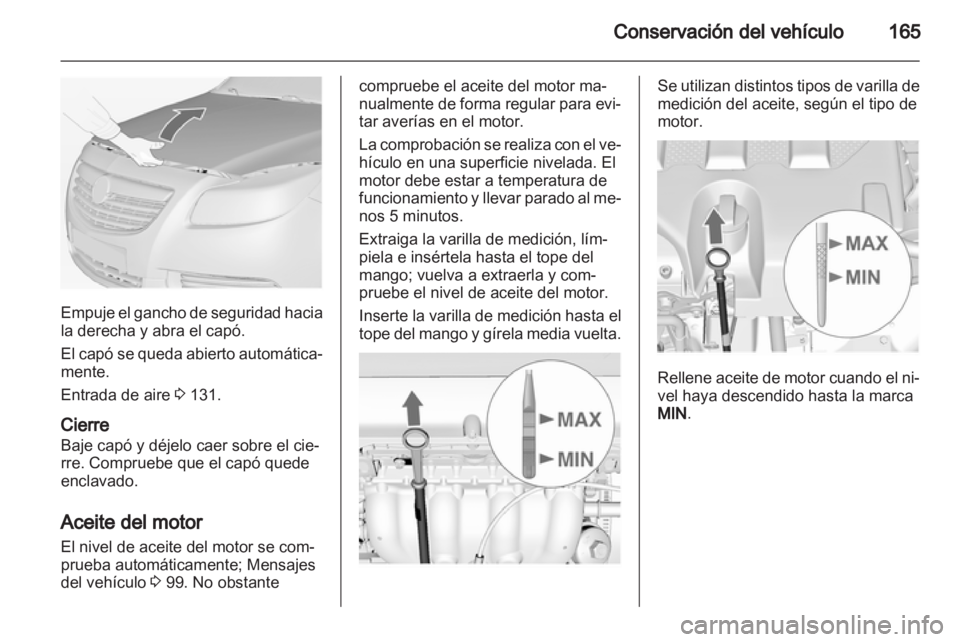 OPEL INSIGNIA 2010 Manual de Instrucciones (in Spanish) OPEL INSIGNIA 2010 Manual de Instrucciones (in Spanish)